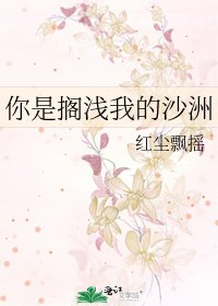 你是搁浅我的沙洲