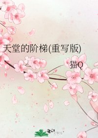 天堂的阶梯(重写版)