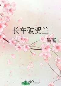 长车破贺兰