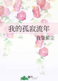 我的孤寂流年