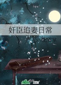 奸臣追妻日常