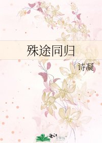 《殊途同归》