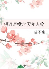 《相遇是缘之天龙人物》