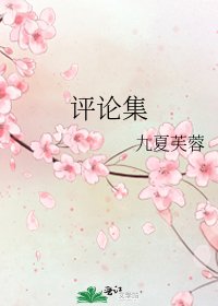 评论集