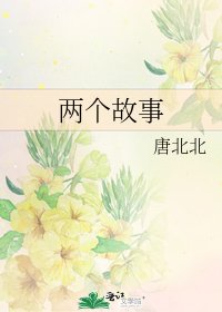 两个故事