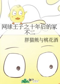 网球王子之十年后的冢不二