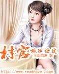 《村官桃运仕途》