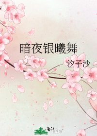 《暗夜银曦舞》