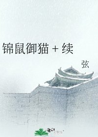 锦鼠御猫 + 续