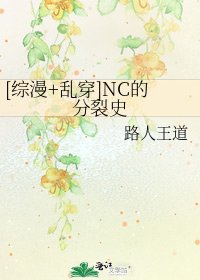 [综漫+乱穿]NC的分裂史