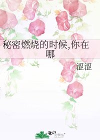 《秘密燃烧的时候,你在哪》