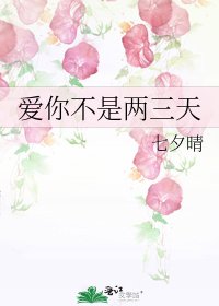 爱你不是两三天
