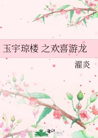 《玉宇琼楼 之欢喜游龙》