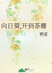 向日葵,开到荼蘼
