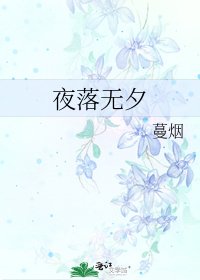 《夜落无夕》
