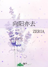 《向阳亦去》