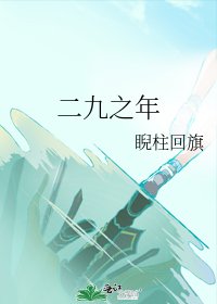 二九之年