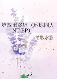 《第四重案组(足球同人NT BP)》