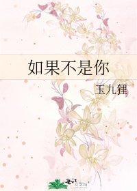 如果不是你
