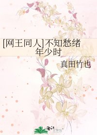 [网王同人]不知愁绪年少时