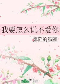 我要怎么说不爱你