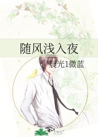 随风浅入夜