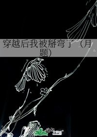 穿越后我被掰弯了（月题）