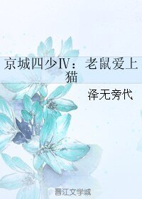 京城四少Ⅳ：老鼠爱上猫/京城四少4 老鼠爱上猫