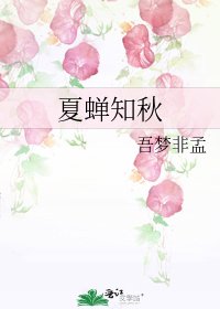 夏蝉知秋