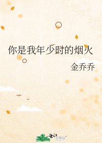 你是我年少时的烟火