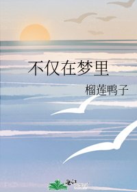 《不仅在梦里》