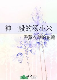 《神一般的汤小米》