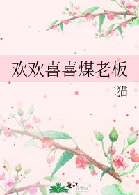 欢欢喜喜煤老板