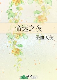 《命运之夜》
