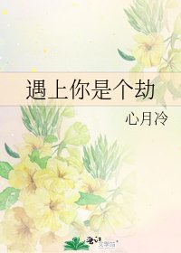 遇上你是个劫