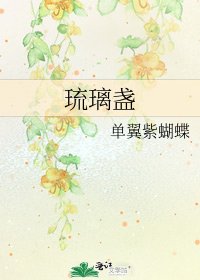 《琉璃盏》