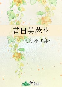 昔日芙蓉花