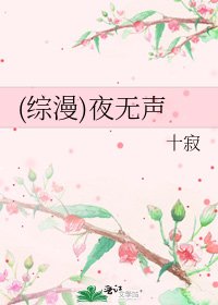 《(综漫)夜无声》
