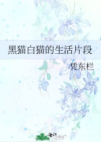 黑猫白猫的生活片段
