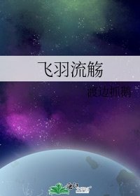 飞羽流觞