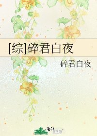 [综]碎君白夜