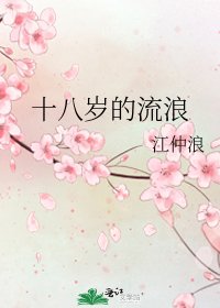 十八岁的流浪
