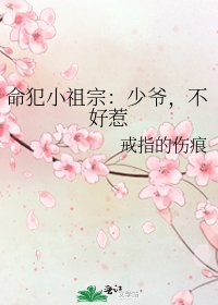 《命犯小祖宗:少爷,不好惹》