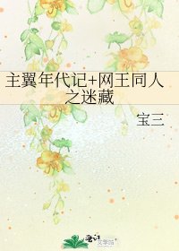 《主翼年代记+网王同人之迷藏》