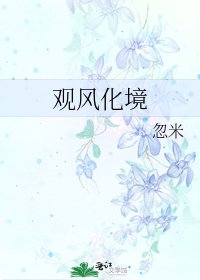 观风化境