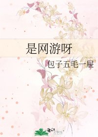 是网游呀