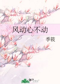 风动心不动