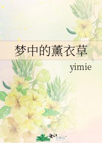 梦中的薰衣草
