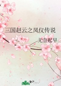 《三国赵云之凤仪传说》