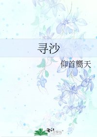 《寻沙》